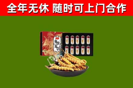 凤泉区烟酒回收冬虫夏草礼盒.jpg